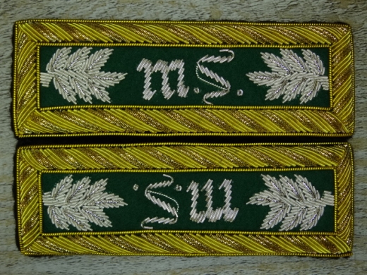 Schulterstcke Lieutenant Colonel Military Surgeon grn