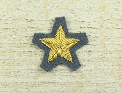Kragenabzeichen Stern Infanterie