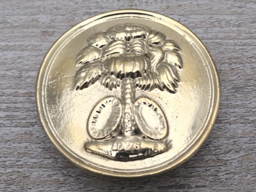 South Carolina Plakette fr Schultergurt (Palmetto), Material Messing