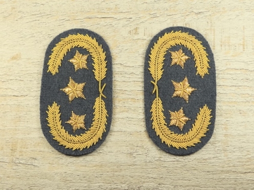 Kragenabzeichen General Infanterie einfaches Eichenlaub