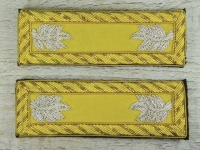 Schulterstcke Lieutenant Colonel Kavallerie