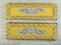 Schulterstcke Colonel Kavallerie