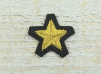 Kragenabzeichen Stern Stab schwarz