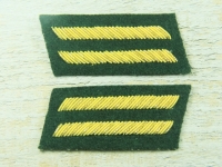 Kragenabzeichen 1st Lieutenant, grün