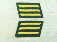 Kragenabzeichen Captain grün
